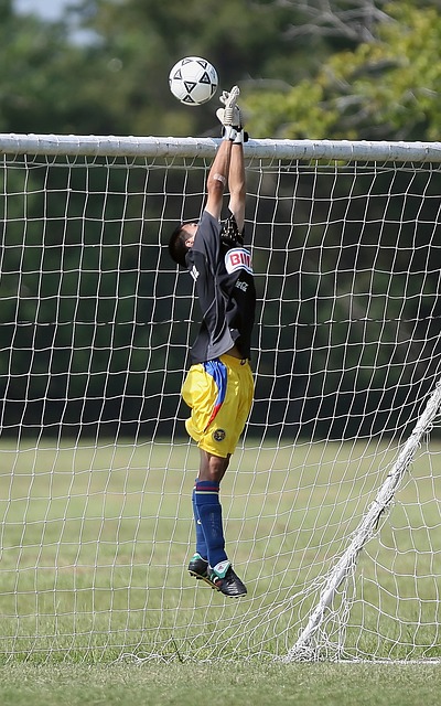 的重要合作 的重要合作